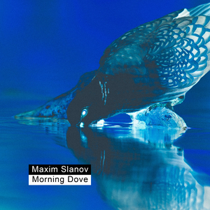 国产一级a毛一级看免费视频
